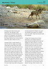 Research paper thumbnail of First report of Himalayan Goral from Nepals Shuklaphanta National Park