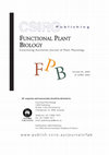 Research paper thumbnail of Behaviour of abscisic acid and polyamines in antisense ACC oxidase melon (Cucumis melo) during ripening