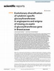 Research paper thumbnail of Evolutionary diversification of cytokinin-specific glucosyltransferases in angiosperms and enigma of missing cis-zeatin O-glucosyltransferase gene in Brassicaceae