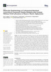 Research paper thumbnail of Molecular Epidemiology of Carbapenem-Resistant Acinetobacter baumannii Strains Isolated at the German Military Field Laboratory in Mazar-e Sharif, Afghanistan