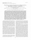 Research paper thumbnail of Pseudomonas aeruginosa exoenzyme S is a mitogen but not a superantigen for human T lymphocytes