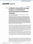 Research paper thumbnail of Antibiotic-induced DNA damage results in a controlled loss of pH homeostasis and genome instability