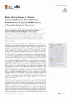 Research paper thumbnail of Brain Macrophages in Simian Immunodeficiency Virus-Infected, Antiretroviral-Suppressed Macaques: a Functional Latent Reservoir