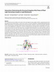 Research paper thumbnail of Interactions Determining the Structural Integrity of the Trimer of Plant Light Harvesting Complex in Lipid Membranes