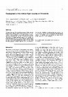 Research paper thumbnail of Development of the indirect flight muscles of Drosophila