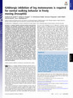 Research paper thumbnail of GABAergic inhibition of leg motoneurons is required for normal walking behavior in freely moving Drosophila