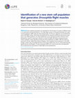 Research paper thumbnail of Identification of a new stem cell population that generates Drosophila flight muscles