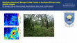 Research paper thumbnail of Identifying Intensively Managed Coffee Forests in Southwest Ethiopia using Satellite Imagery