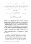 Research paper thumbnail of Protección de las personas migrantes indocumentadas en España con arreglo al Derecho Internacional y Europeo de los derechos humanos = Protection of undocumented migrant persons in Spain under international and European human rights law