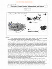 Research paper thumbnail of The Costs of Utopia: Brasilia, Johannesburg and Moscow. Paper presented to the European Network for Housing Research