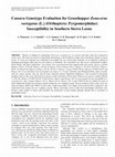 Research paper thumbnail of Cassava Genotype Evaluation for Grasshopper <i>Zonocerus variegatus</i> (L.) (Orthoptera: Pyrgomorphidae) Susceptibility in Southern Sierra Leone