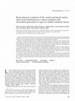 Research paper thumbnail of Biomechanical evaluation of the ventral and lateral surface shear strain distributions in central compared with dorsolateral placement of cages for lumbar interbody fusion