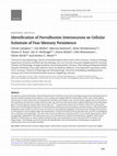 Research paper thumbnail of Identification of Parvalbumin Interneurons as Cellular Substrate of Fear Memory Persistence