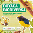 Research paper thumbnail of Boyacá biodiversa. Un recorrido de la alta montaña a las tierras bajas