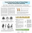 Research paper thumbnail of Toward solving the puzzle of thorax shape variation among early hominins