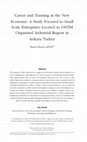 Research paper thumbnail of Career and Training in the New Economy: A Study Focused to Small Scale Enterprises Located in OSTIM Organized Industrial Region in Ankara/Turkey