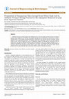 Research paper thumbnail of Preparation of Nanoporous Silica Aerogel from Wheat Husk Ash by Ambient Pressure Drying Process for the Adsorptive Removal of Lead from Aqueous Solution