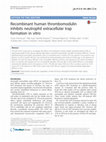 Research paper thumbnail of Recombinant human thrombomodulin inhibits neutrophil extracellular trap formation in vitro