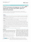 Research paper thumbnail of CYP1B1 promotes tumorigenesis via altered expression of CDC20 and DAPK1 genes in renal cell carcinoma