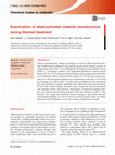 Research paper thumbnail of Examination of alkali-activated material nanostructure during thermal treatment