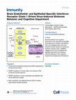 Research paper thumbnail of Brain Endothelial-and Epi thelial-Specific Interferon Receptor Chain 1 Drives Virus-Induced Sickness Behavior and Cognitive Impairment Graphical