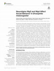 Research paper thumbnail of Neuroligins Nlg2 and Nlg4 Affect Social Behavior in Drosophila melanogaster