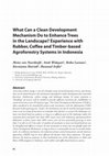 Research paper thumbnail of What can a clean development mechanism do to enhance trees in the land scape? Experience with rubber, coffee and timber-based agroforestry systems in Indonesia