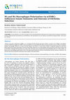 Research paper thumbnail of M1 and M2 Macrophages Polarization via mTORC1 Influences Innate Immunity and Outcome of Ehrlichia Infection