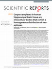 Research paper thumbnail of Corpora amylacea in human hippocampal brain tissue are intracellular bodies that exhibit a homogeneous distribution of neo-epitopes