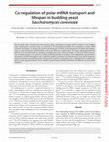 Research paper thumbnail of Co-regulation of polar mRNA transport and lifespan in budding yeast Saccharomyces cerevisiae