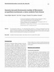 Research paper thumbnail of Genome size and chromosome number of Micromeria acropolitana (Lamiaceae), a steno-endemic from Greece