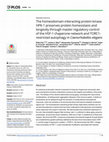 Research paper thumbnail of The homeodomain-interacting protein kinase HPK-1 preserves protein homeostasis and longevity through master regulatory control of the HSF-1 chaperone network and TORC1-restricted autophagy in Caenorhabditis elegans