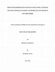 Research paper thumbnail of Phototransformation of pollutants using lutetium and zinc phthalocyanines anchored on electrospun polymer fibers