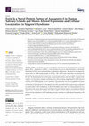 Research paper thumbnail of Ezrin Is a Novel Protein Partner of Aquaporin-5 in Human Salivary Glands and Shows Altered Expression and Cellular Localization in Sjögren’s Syndrome