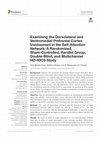 Research paper thumbnail of Examining the Dorsolateral and Ventromedial Prefrontal Cortex Involvement in the Self-Attention Network: A Randomized, Sham-Controlled, Parallel Group, Double-Blind, and Multichannel HD-tDCS Study