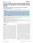 Research paper thumbnail of Pituitary Adenylate Cyclase Activating Peptide (PACAP) Participates in Adipogenesis by Activating ERK Signaling Pathway