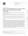 Research paper thumbnail of Calpain 3 and CaMKIIβ signaling are required to induce HSP70 necessary for adaptive muscle growth after atrophy