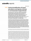 Research paper thumbnail of Vertical stratification of insect abundance and species richness in an Amazonian tropical forest