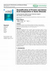 Research paper thumbnail of Quantification of Protein and Amino Acid Composition in Some Oilseeds