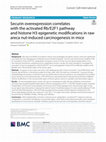 Research paper thumbnail of Securin overexpression correlates with the activated Rb/E2F1 pathway and Histone H3 epigenetic modifications in raw areca-nut induced carcinogenesis in mice