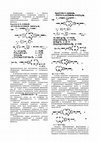 Research paper thumbnail of Cortisol Metabolism in Carp Macrophages: A Role for Macrophage-Derived Cortisol in M1/M2 Polarization