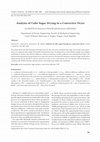 Research paper thumbnail of Analysis of Cube Sugar Drying in a Convective Dryer