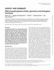 Research paper thumbnail of RNA G-quadruplexes (rG4s): genomics and biological functions