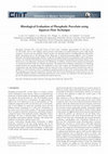 Research paper thumbnail of Rheological Evaluation of Phosphatic Porcelain using Squeeze Flow Technique