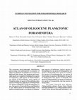 Research paper thumbnail of Atlas of Oligocene Planktonic Foraminifera