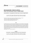 Research paper thumbnail of Extranodal NK/T Cell Lymphoma the Nasal Type on Invasive Fungal Sinusitis