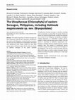 Research paper thumbnail of The Ulvophyceae (Chlorophyta) of eastern Sorsogon, Philippines, including Halimeda magnicuneata sp. nov. (Bryopsidales)