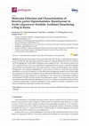 Research paper thumbnail of Molecular detection and characterization of BK and JC polyomaviruses in urine samples of renal transplant patients in Southern Brazil