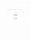 Research paper thumbnail of Why We Should Strictly Rely On Solar Power Energy