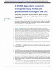 Research paper thumbnail of A WDR35-dependent coatomer transports ciliary membrane proteins from the Golgi to the cilia